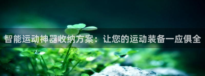 征途国际官方：智能运动神器收纳方案：让您的运动装备一应俱全