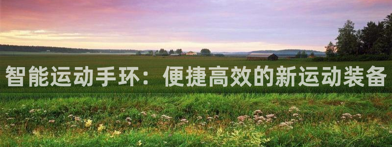 征途国际招商电话是多少啊