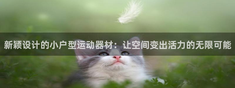 征途国际娱乐首页网站大全：新颖设计的小户型运动器材：让空间变