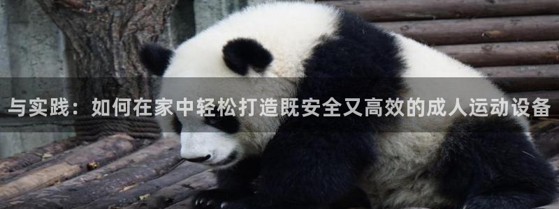 征途国际娱乐是那个系列的台子