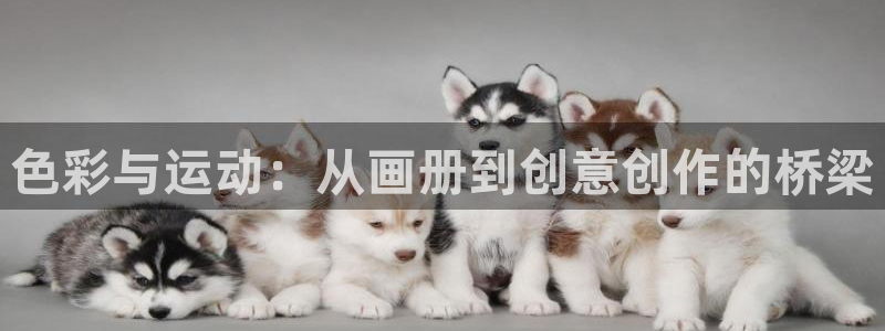 征途国际注册：色彩与运动：从画册到创意创作的桥梁