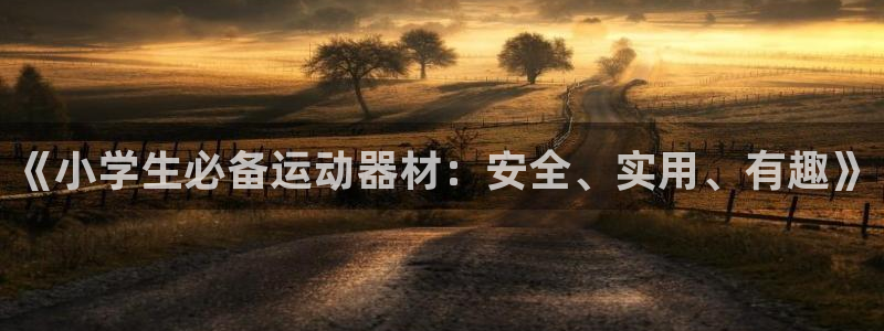 征途国际集团logo：《小学生必备运动器材：安全、实