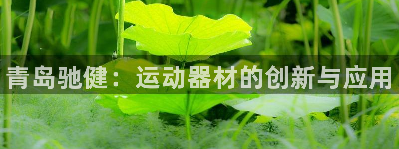 征途国际官方客服电话：青岛驰健：运动器材的创新与应用