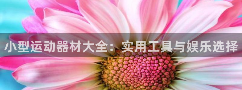征途国际软件：小型运动器材大全：实用工具与娱乐选择