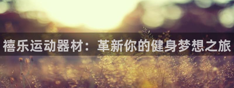 征途国际平台体育：禧乐运动器材：革新你的健身梦想之旅