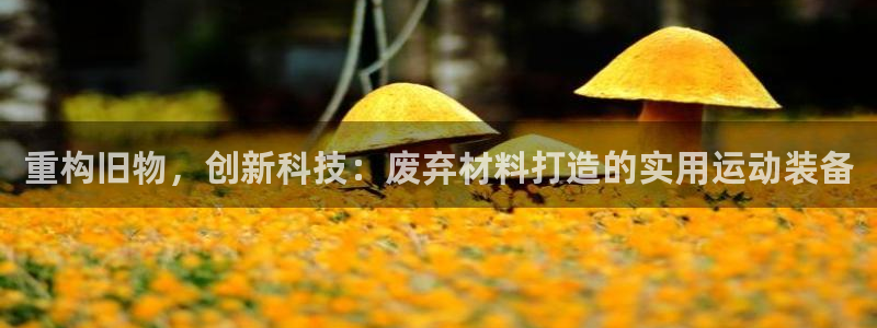 征途国际娱乐是那个系列的台子：重构旧物，创新科技：废