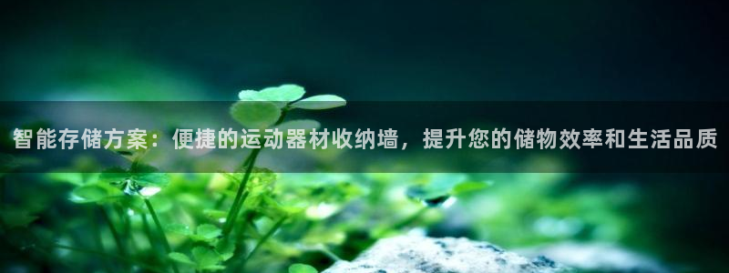 征途国际娱乐是那个系列的台子：智能存储方案：便捷的运