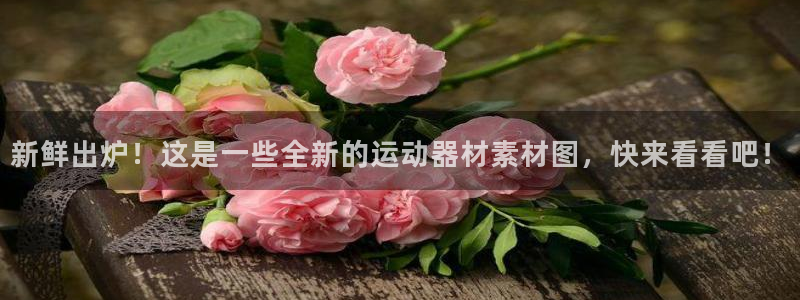 征途国际注册：新鲜出炉！这是一些全新的运动器材素材图
