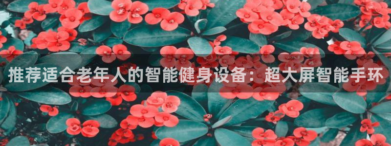 征途国际集团官网网址：推荐适合老年人的智能健身设备：