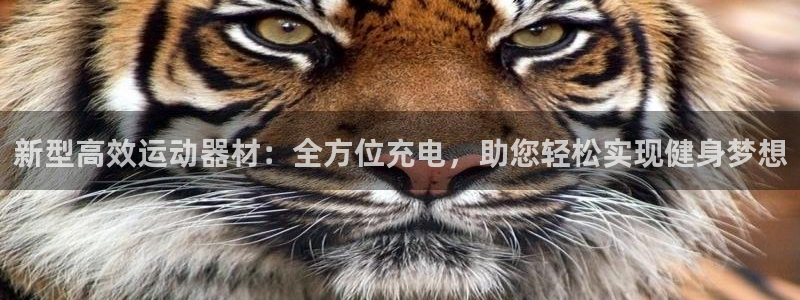 征途国际集团官网首页网址：新型高效运动器材：全方位充