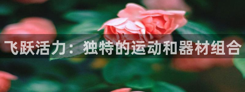 征途国际招商电话号码查询是多少：飞跃活力：独特的运动和器材组