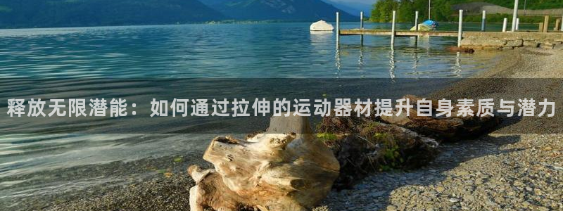 征途国际集团简介：释放无限潜能：如何通过拉伸的运动器材提升自