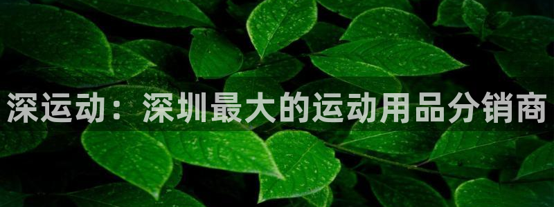 征途国际开户：深运动：深圳最大的运动用品分销商