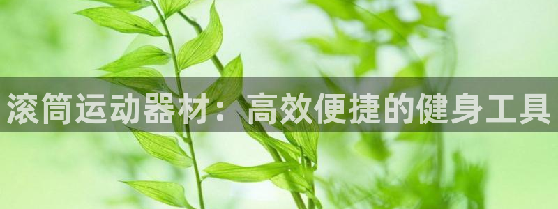 注册征途国际：滚筒运动器材：高效便捷的健身工具