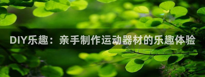 征途国际官方：DIY乐趣：亲手制作运动器材的乐趣体验