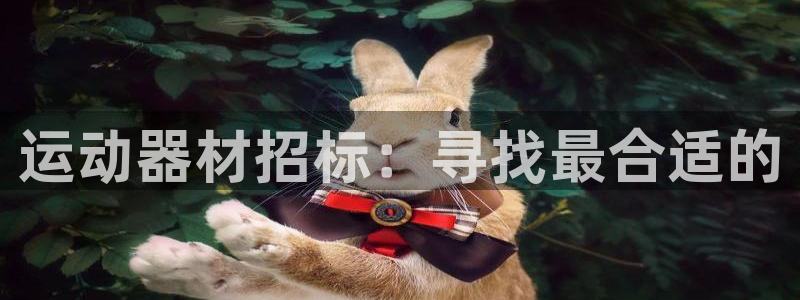 征途国际平台是正规平台吗安全吗：运动器材招标：寻找最合适的