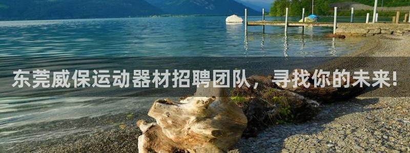 征途国际娱乐下载