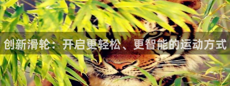 注册征途国际：创新滑轮：开启更轻松、更智能的运动方式