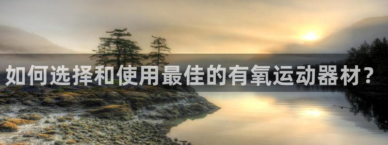 征途国际娱乐平台：如何选择和使用最佳的有氧运动器材？